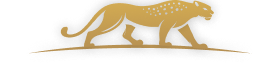 Luxury Safari Co