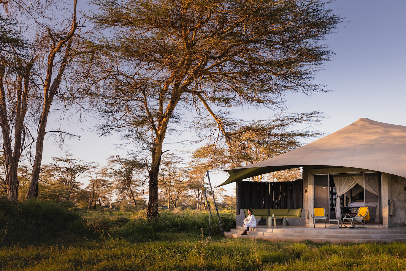 Giants Beneath Kilimanjaro – Amboseli National Park