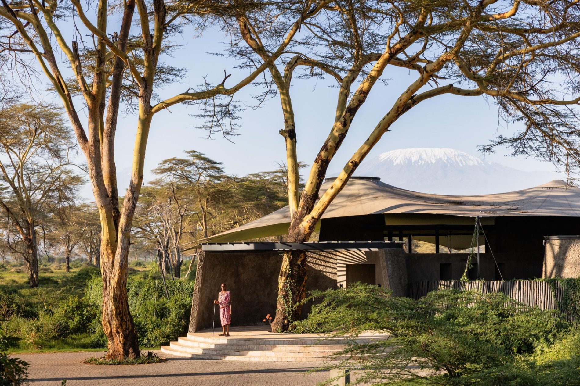 Giants Beneath Kilimanjaro – Amboseli National Park