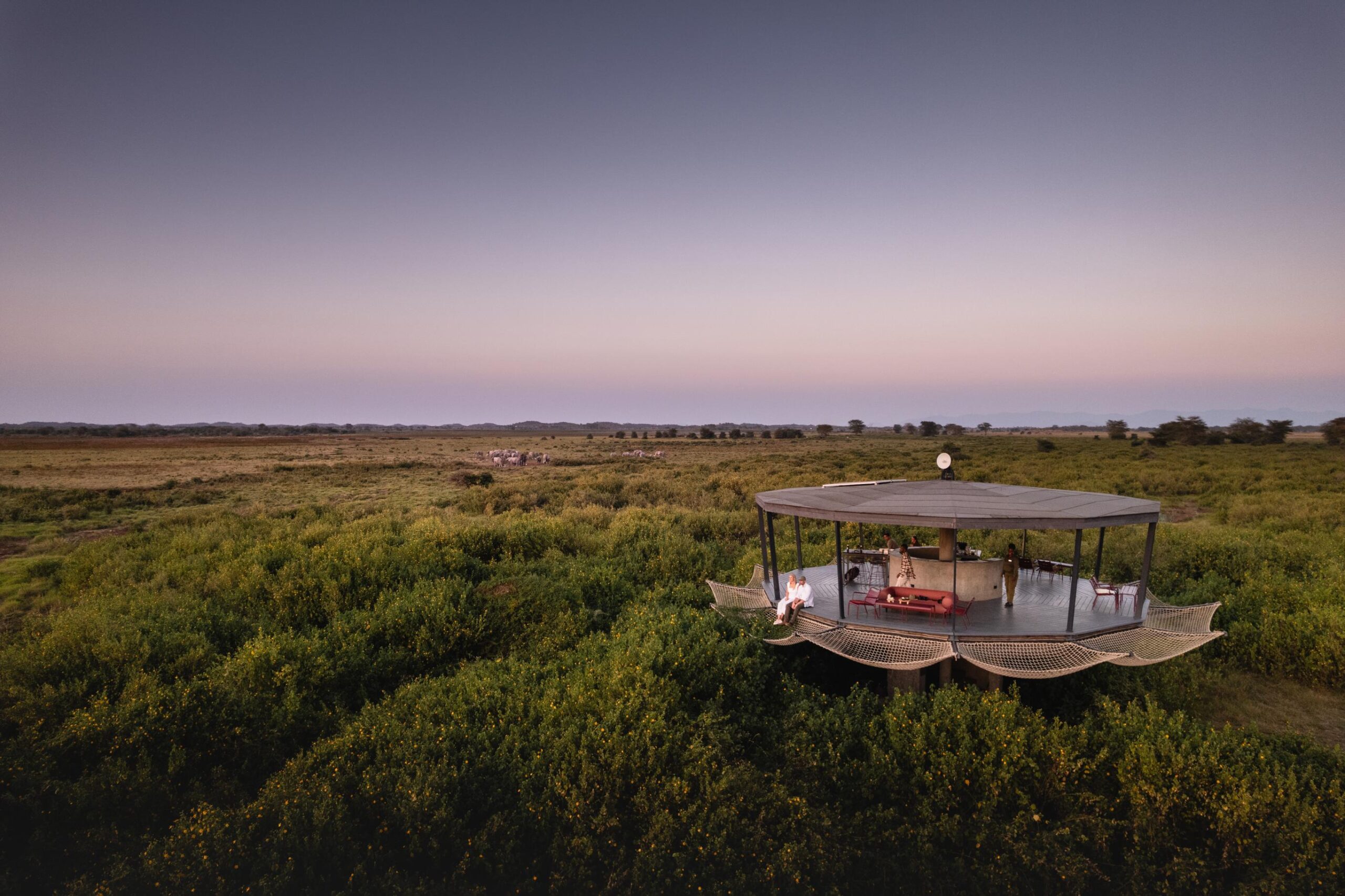 Giants Beneath Kilimanjaro – Amboseli National Park