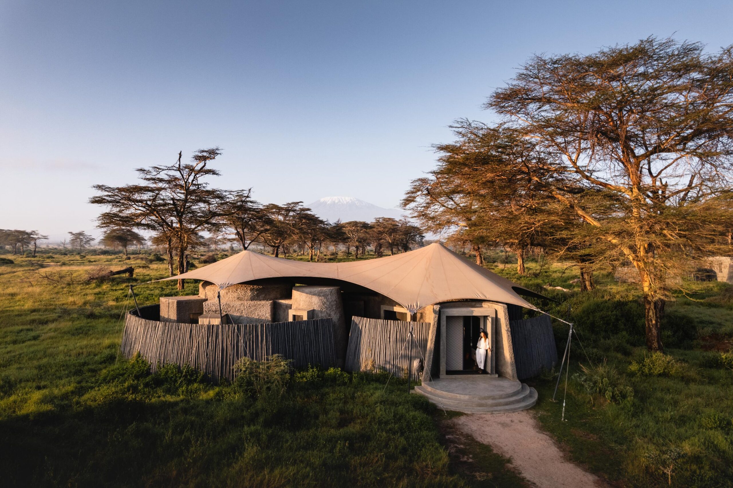 Giants Beneath Kilimanjaro – Amboseli National Park