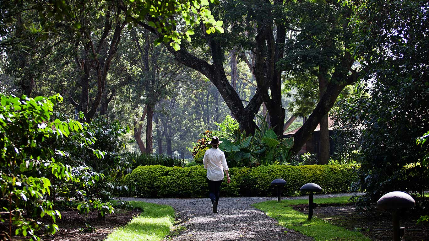 Gateway to Tanzania – Arusha