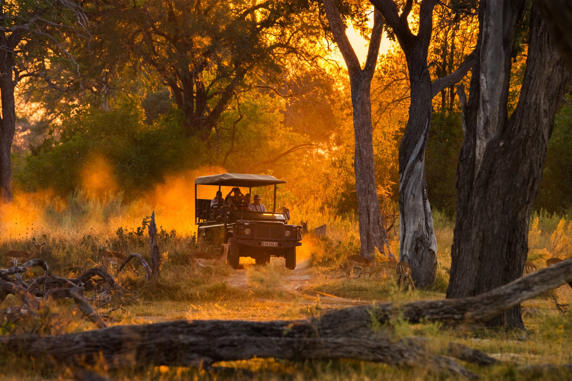 Ascensions – Exclusive Safari to Kenya & Tanzania