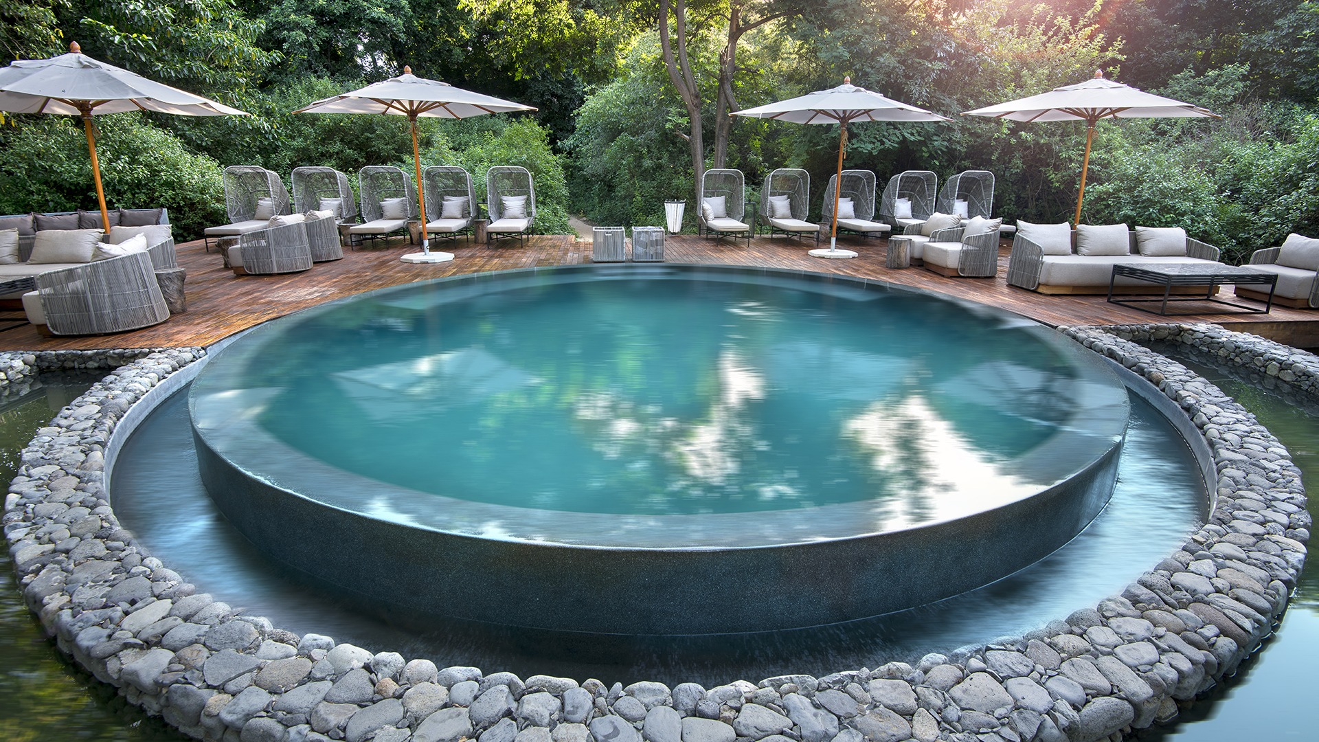 Forest Giants & Tree-Top Luxury – Lake Manyara National Park