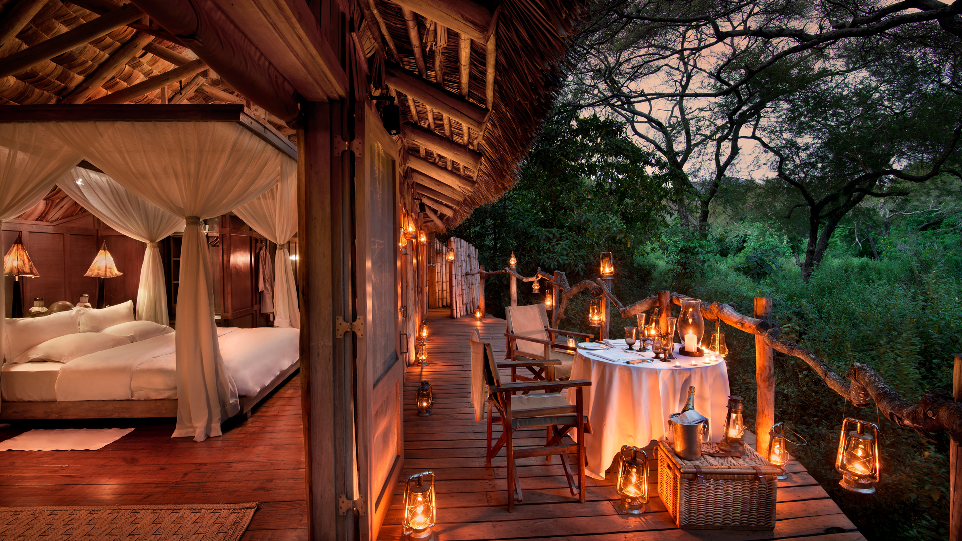Forest Giants & Tree-Top Luxury – Lake Manyara National Park