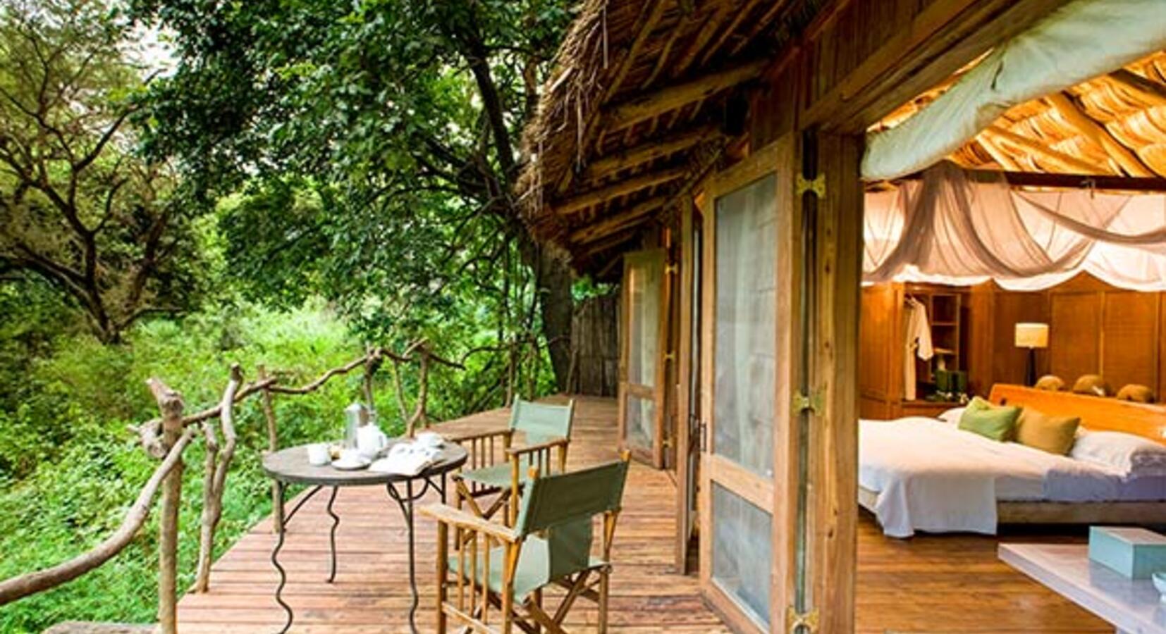 Forest Giants & Tree-Top Luxury – Lake Manyara National Park
