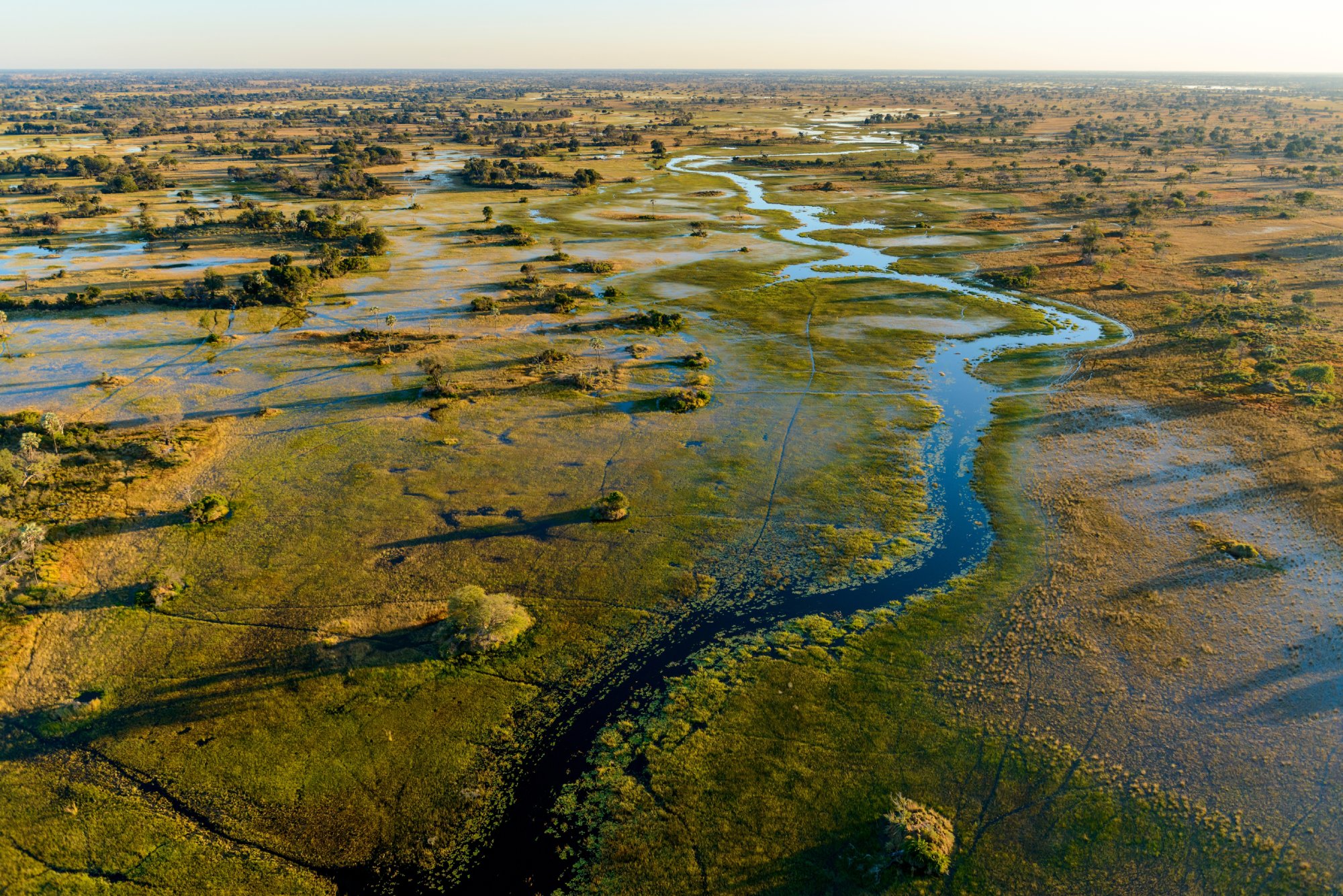 Farewell to Botswana – Fly to Maun
