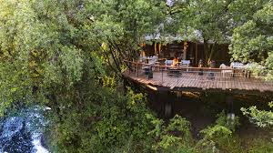 Flight to the Golden Plains – Masai Mara National Reserve