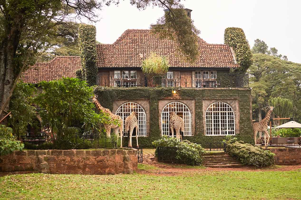 Breakfast with Giraffes – Nairobi