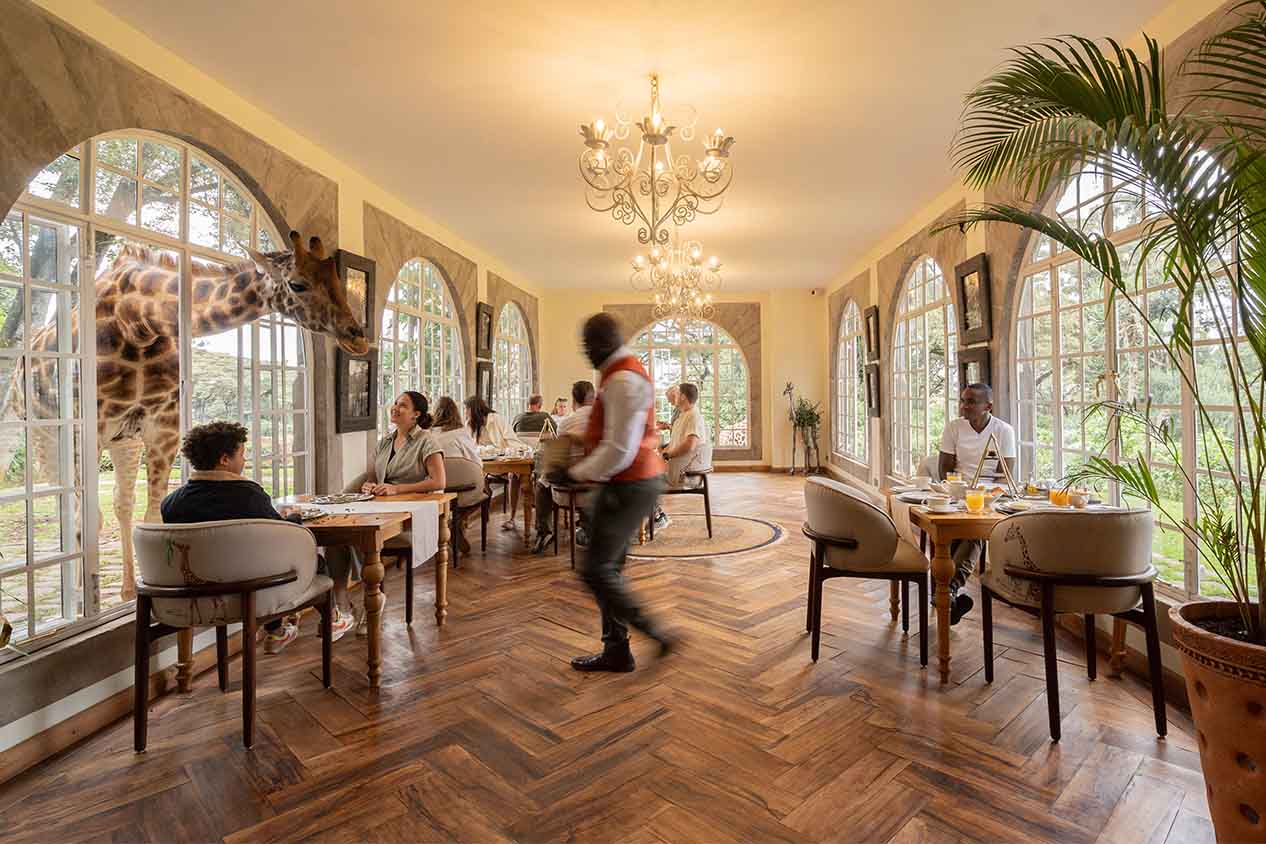 Breakfast with Giraffes – Nairobi