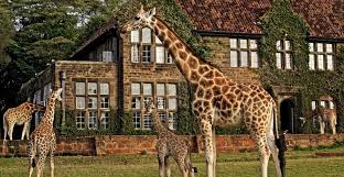 Breakfast with Giraffes – Nairobi