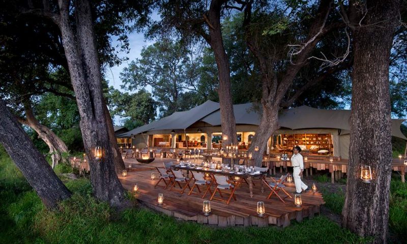 Front-Row Migration Encounters – Masai Mara National Reserve