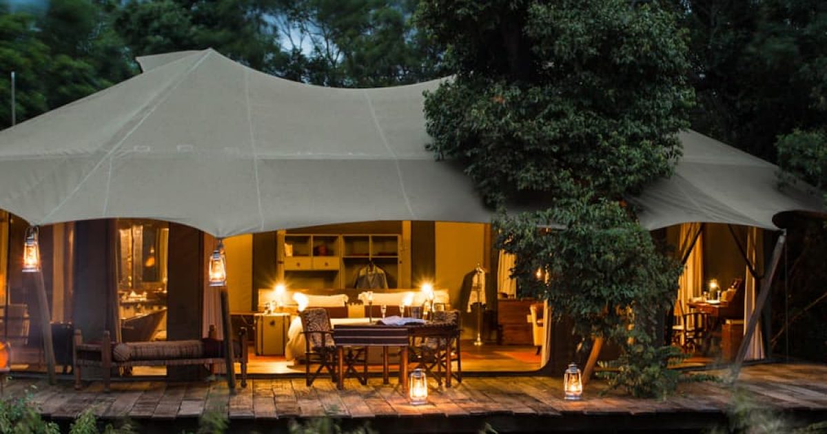 Front-Row Migration Encounters – Masai Mara National Reserve