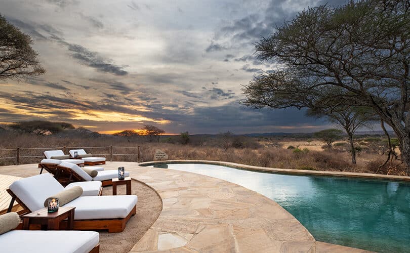 Flight into Elephant Country – Tarangire National Park