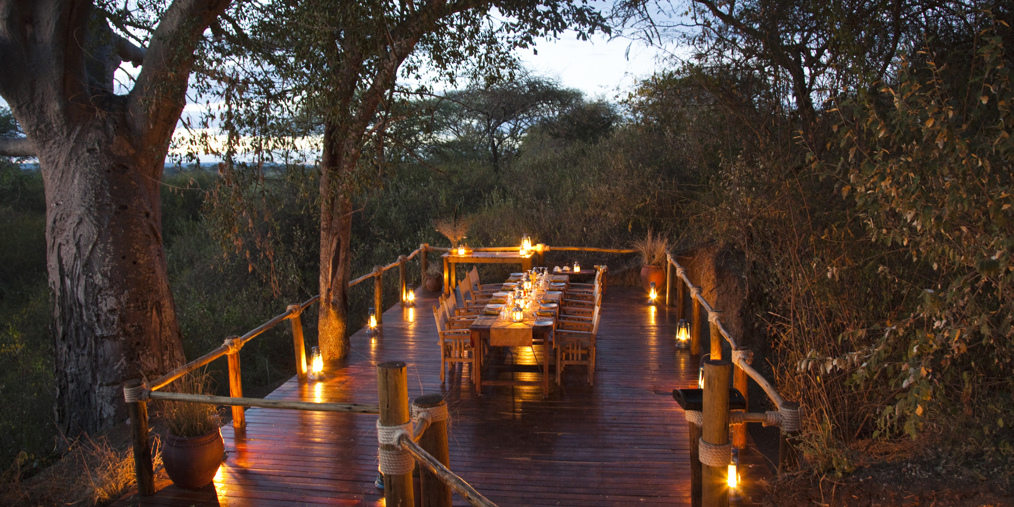 Flight into Elephant Country – Tarangire National Park