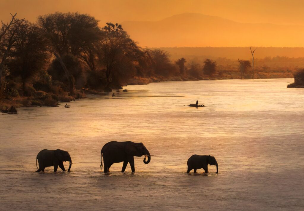 Sanctuary in the Delta – The Okavango Traverse